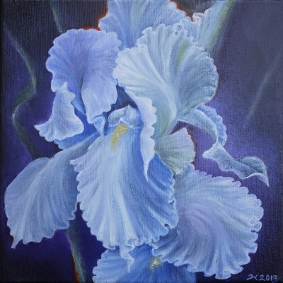 Ölbild einer  weissen Iris vor blauen und schwarzen Hintergrund mit goldenen Akzenten